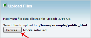 How to upload files via the cPanel File Manager?